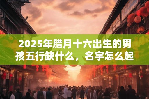 2025年腊月十六出生的男孩五行缺什么，名字怎么起？