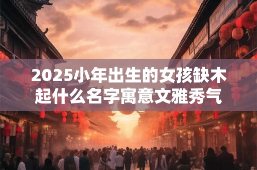 2025小年出生的女孩缺木起什么名字寓意文雅秀气