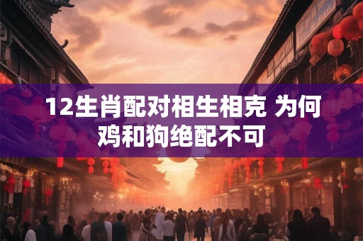 12生肖配对相生相克 为何鸡和狗绝配不可