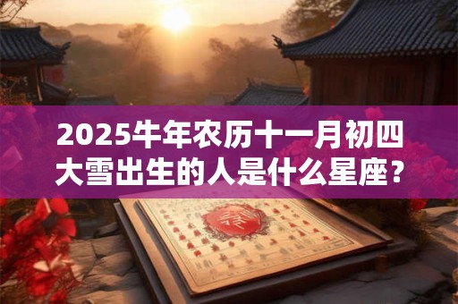 2025牛年农历十一月初四大雪出生的人是什么星座？