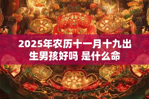 2025年农历十一月十九出生男孩好吗 是什么命