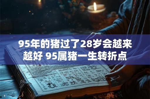 95年的猪过了28岁会越来越好 95属猪一生转折点