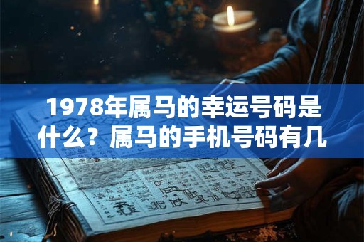 1978年属马的幸运号码是什么？属马的手机号码有几最吉利
