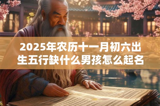 2025年农历十一月初六出生五行缺什么男孩怎么起名？