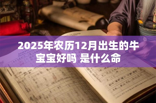 2025年农历12月出生的牛宝宝好吗 是什么命