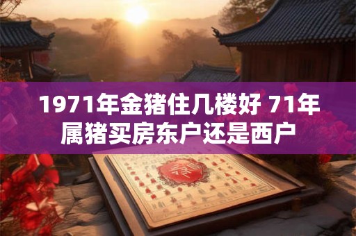 1971年金猪住几楼好 71年属猪买房东户还是西户
