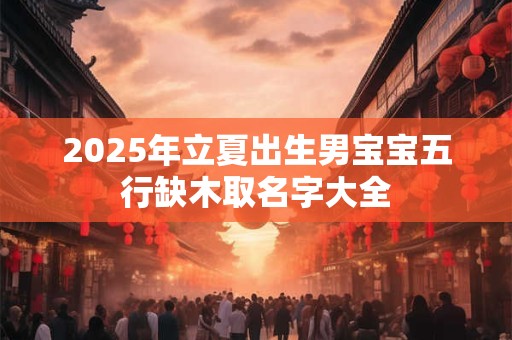 2025年立夏出生男宝宝五行缺木取名字大全