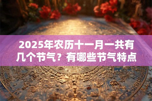 2025年农历十一月一共有几个节气？有哪些节气特点？