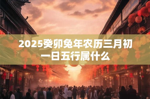 2025癸卯兔年农历三月初一日五行属什么