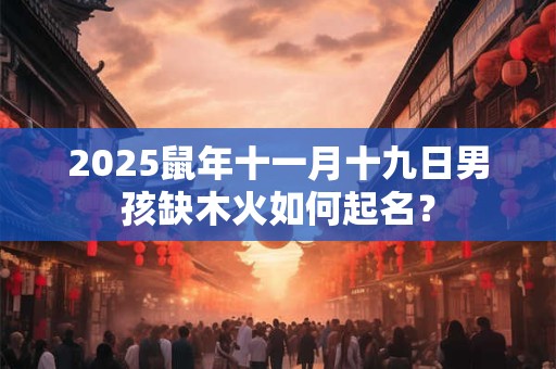 2025鼠年十一月十九日男孩缺木火如何起名？
