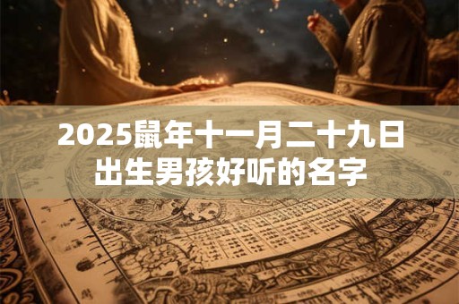 2025鼠年十一月二十九日出生男孩好听的名字 2025鼠年十一月二十九日出生男孩好听的名字