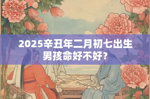 2025辛丑年二月初七出生男孩命好不好？