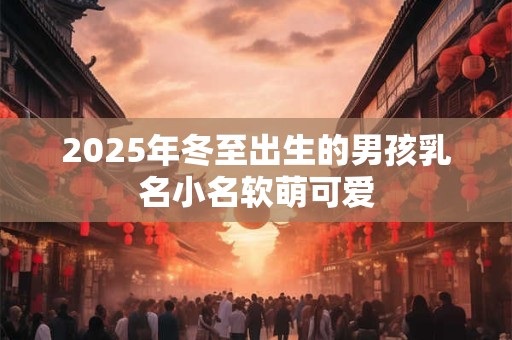2025年冬至出生的男孩乳名小名软萌可爱