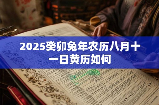 2025癸卯兔年农历八月十一日黄历如何