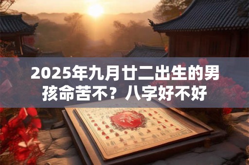 2025年九月廿二出生的男孩命苦不？八字好不好