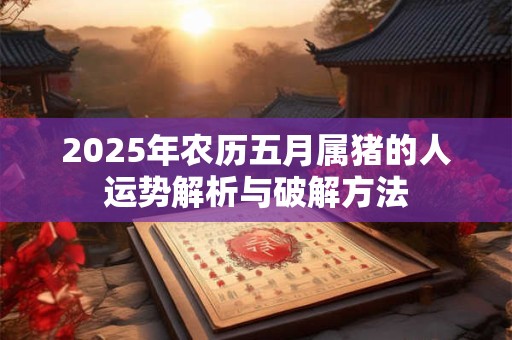 2025年农历五月属猪的人运势解析与破解方法