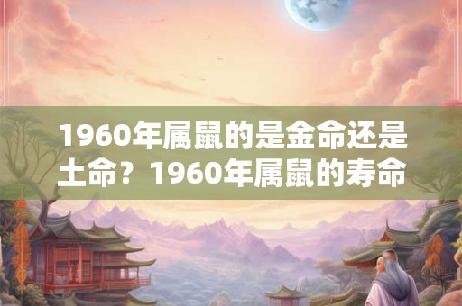 1960年属鼠的是金命还是土命？1960年属鼠的寿命