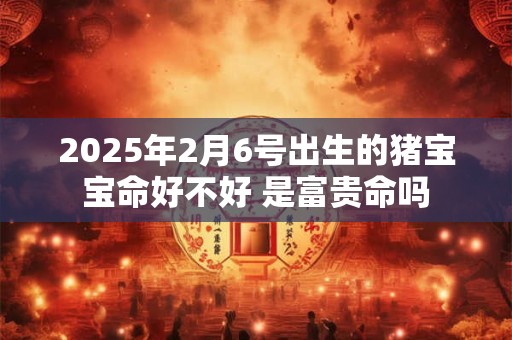 2025年2月6号出生的猪宝宝命好不好 是富贵命吗