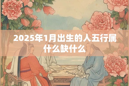 2025年1月出生的人五行属什么缺什么