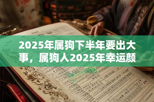 2025年属狗下半年要出大事，属狗人2025年幸运颜色