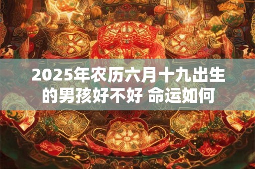 2025年农历六月十九出生的男孩好不好 命运如何
