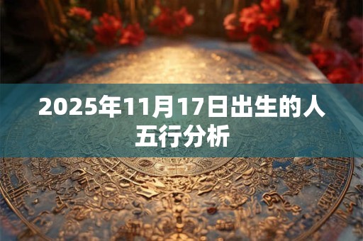 2025年11月17日出生的人五行分析