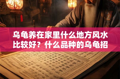 乌龟养在家里什么地方风水比较好？什么品种的乌龟招财？