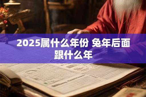 2025属什么年份 兔年后面跟什么年