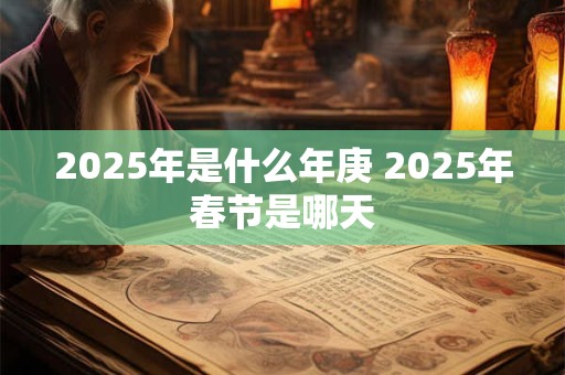 2025年是什么年庚 2025年春节是哪天
