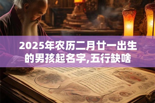 2025年农历二月廿一出生的男孩起名字,五行缺啥