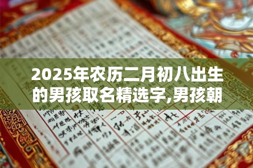2025年农历二月初八出生的男孩取名精选字,男孩朝气蓬勃的名字