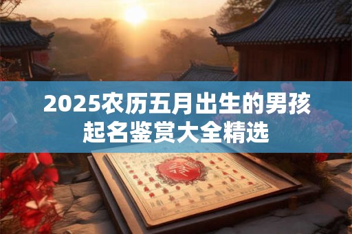 2025农历五月出生的男孩起名鉴赏大全精选