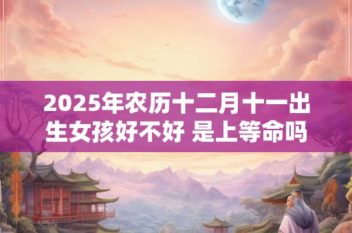 2025年农历十二月十一出生女孩好不好 是上等命吗
