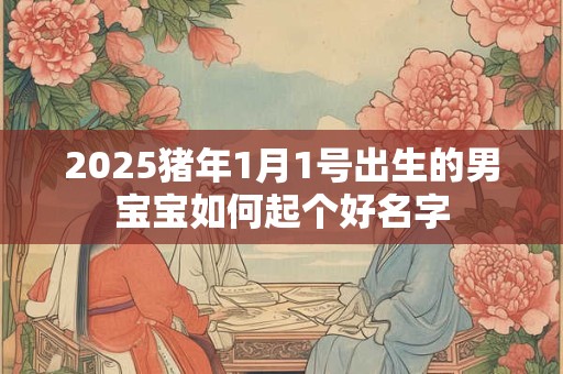 2025猪年1月1号出生的男宝宝如何起个好名字
