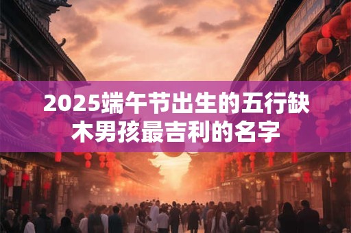 2025端午节出生的五行缺木男孩最吉利的名字