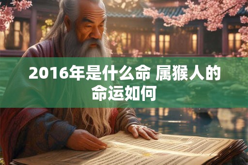 2016年是什么命 属猴人的命运如何