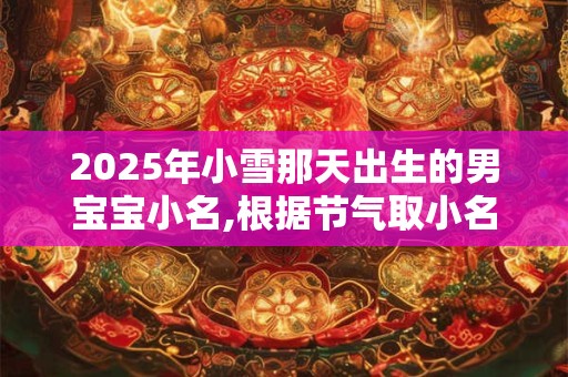 2025年小雪那天出生的男宝宝小名,根据节气取小名