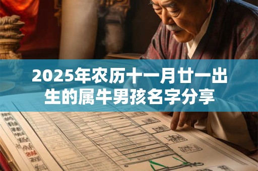 2025年农历十一月廿一出生的属牛男孩名字分享