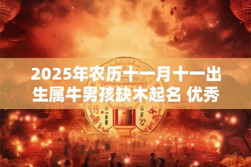 2025年农历十一月十一出生属牛男孩缺木起名 优秀不一般男孩名