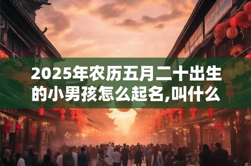 2025年农历五月二十出生的小男孩怎么起名,叫什么好