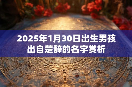 2025年1月30日出生男孩出自楚辞的名字赏析