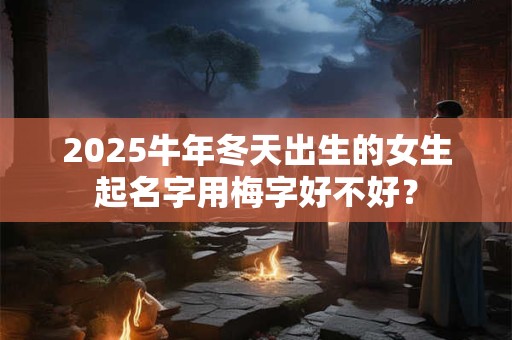 2025牛年冬天出生的女生起名字用梅字好不好？