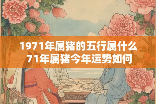 1971年属猪的五行属什么 71年属猪今年运势如何