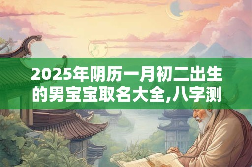 2025年阴历一月初二出生的男宝宝取名大全,八字测算