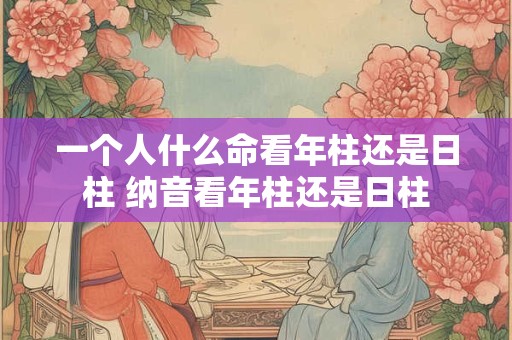 一个人什么命看年柱还是日柱 纳音看年柱还是日柱