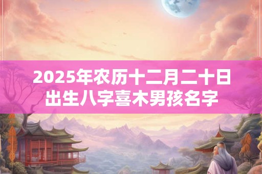 2025年农历十二月二十日出生八字喜木男孩名字