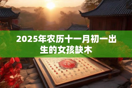 2025年农历十一月初一出生的女孩缺木