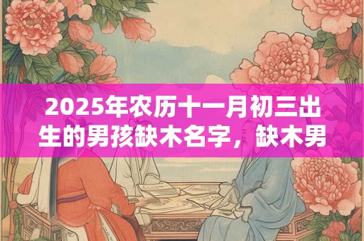2025年农历十一月初三出生的男孩缺木名字，缺木男孩最吉利的名字