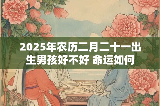 详细阅读:2025年农历二月二十一出生男孩好不好 命运如何 2025年农历二月二十一出生男孩好不好 命运如何