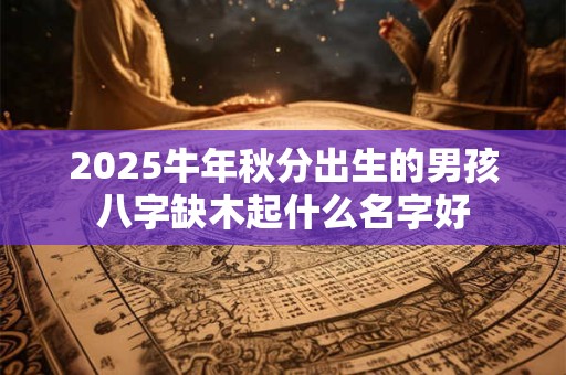 2025牛年秋分出生的男孩八字缺木起什么名字好